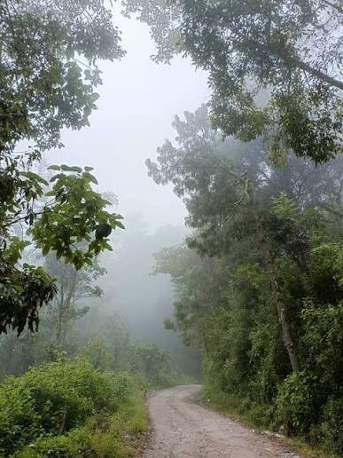 parque omiltemi